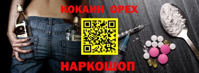 2c-b Кингисепп